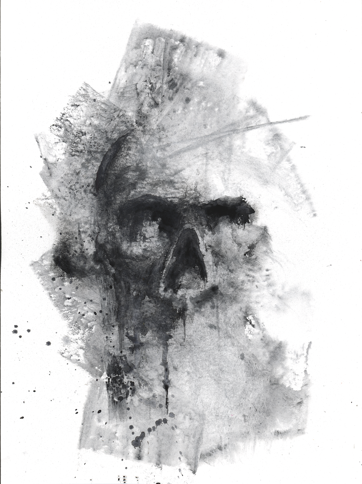 skull A3 1