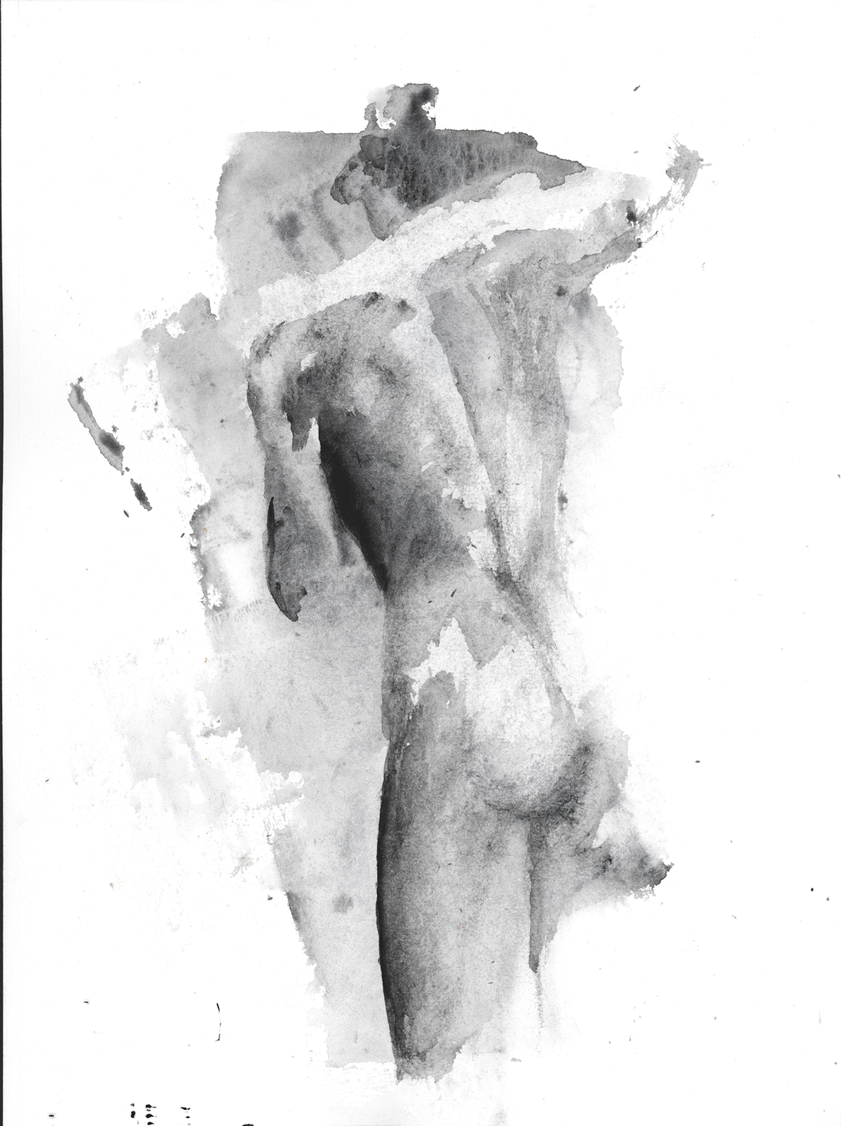body 11