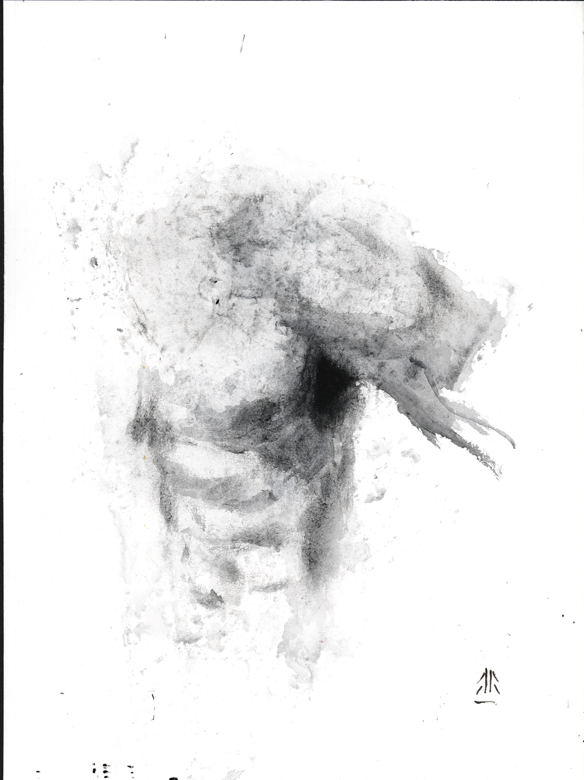 body 8