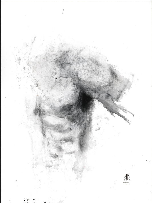 body 8